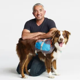 Cesar Millan™ Dog Backpack