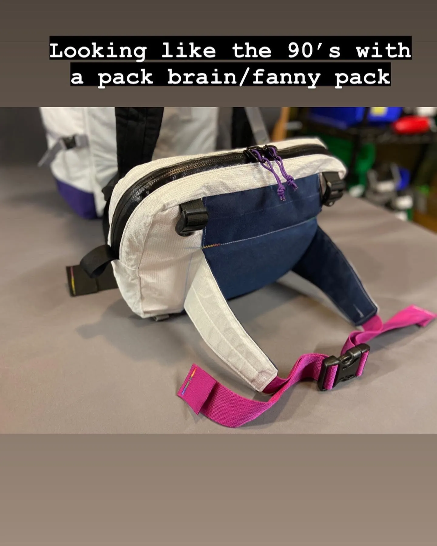 fanny pack lid